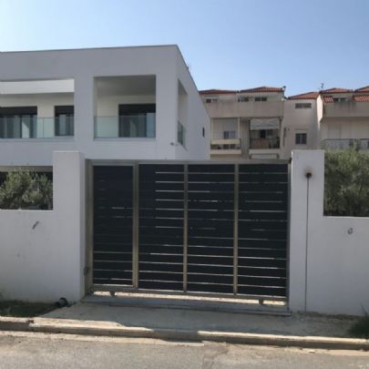 Stainless Steel Gate with Deck 